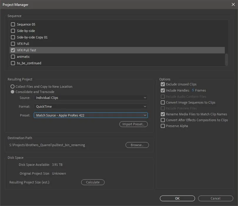 Premiere's Project Manager window