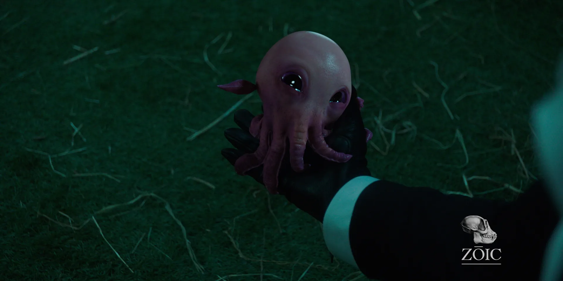 Creature Comp